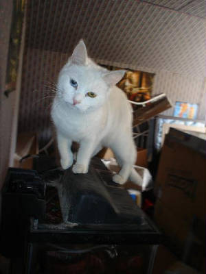 dsc02879.jpg
